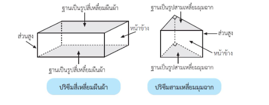 พื้นที่ผิว และปริมาตร