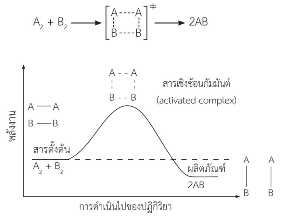 เจาะลึกบท "อัตราการเกิดปฏิกิริยาเคมี" เคมี ม.5 สรุปครบทุกปัจจัยและแนวข้อสอบวิเคราะห์ 7 - กวดวิชา OnDemand Rate05 - สถาบันกวดวิชา OnDemand