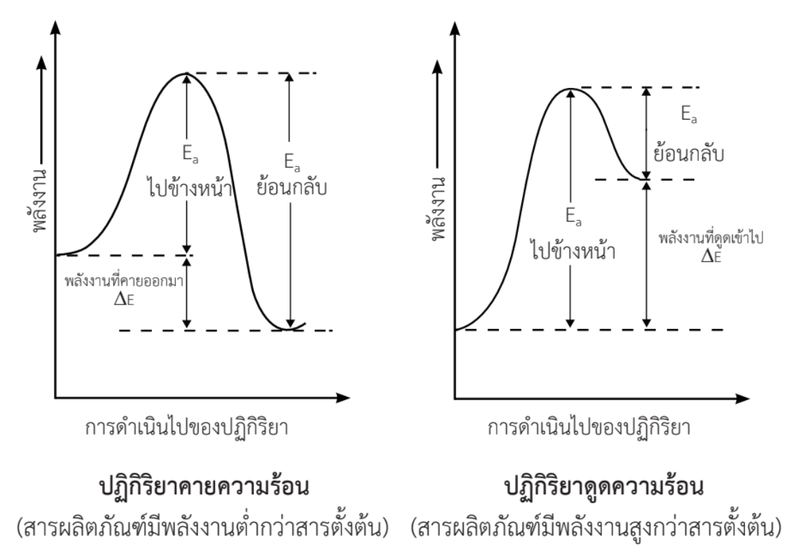 เจาะลึกบท "อัตราการเกิดปฏิกิริยาเคมี" เคมี ม.5 สรุปครบทุกปัจจัยและแนวข้อสอบวิเคราะห์ 8 - กวดวิชา OnDemand Rate06 - สถาบันกวดวิชา OnDemand
