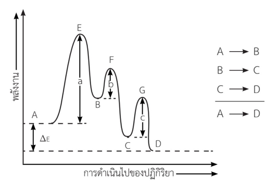 เจาะลึกบท "อัตราการเกิดปฏิกิริยาเคมี" เคมี ม.5 สรุปครบทุกปัจจัยและแนวข้อสอบวิเคราะห์ 9 - กวดวิชา OnDemand Rate07 - สถาบันกวดวิชา OnDemand
